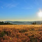 Willingenliebe Meinecardplus * Willingen (Upland)