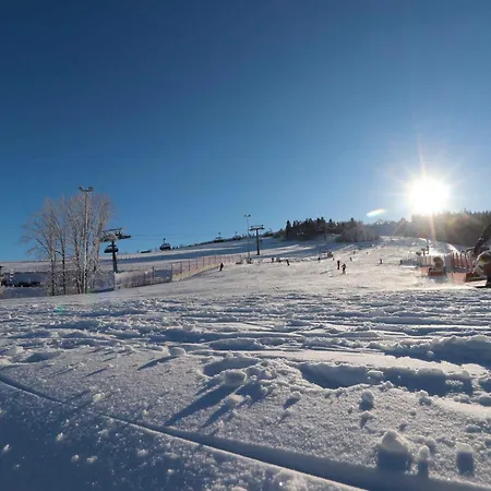 Willingenliebe Meinecardplus فيلنغن