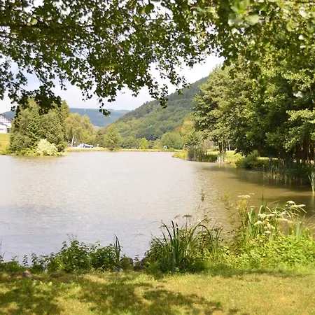 Willingenliebe Meinecardplus *