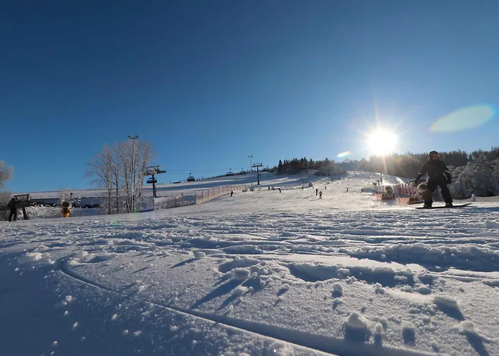 Willingenliebe Meinecardplus Willingen (Upland)
