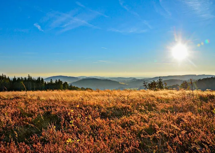 Lägenhet Willingenliebe Meinecardplus Willingen (Upland)