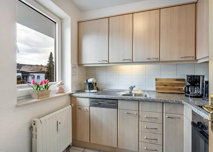 Willingenliebe Meinecardplus Willingen (Upland)